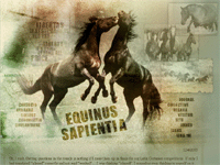 Equinus-Sapientia