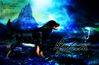 Filename=actium.jpg
Filesize=226KB
Dimensions=550x360
Date added=Dec 31, 2005 actium.jpg
