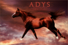 Filename=adys.jpg
Filesize=172KB
Dimensions=550x360
Date added=Sep 16, 2006 adys.jpg