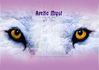 Filename=arcticmyst.jpg
Filesize=195KB
Dimensions=640x451
Date added=Dec 31, 2005 arcticmyst.jpg