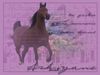 Filename=ashiyane.jpg
Filesize=92KB
Dimensions=500x375
Date added=Dec 30, 2005 ashiyane.jpg