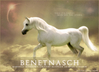 Filename=benetnasch.jpg
Filesize=173KB
Dimensions=550x400
Date added=Sep 09, 2006 benetnasch.jpg