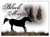 Filename=blackmagik.jpg
Filesize=109KB
Dimensions=500x375
Date added=Dec 30, 2005 blackmagik.jpg