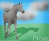Filename=brosia.jpg
Filesize=135KB
Dimensions=600x500
Date added=Dec 31, 2005 brosia.jpg