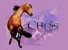 Filename=chess.jpg
Filesize=128KB
Dimensions=550x400
Date added=Sep 10, 2005 chess.jpg