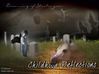 Filename=childhoodreflections.jpg
Filesize=19KB
Dimensions=450x337
Date added=Dec 31, 2005 childhoodreflections.jpg