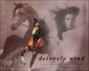 Filename=delovelywind.jpg
Filesize=109KB
Dimensions=500x400
Date added=Dec 31, 2005 delovelywind.jpg