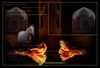 Filename=dichotomy.jpg
Filesize=146KB
Dimensions=550x375
Date added=Dec 30, 2005 dichotomy.jpg