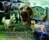 Filename=ditto.jpg
Filesize=284KB
Dimensions=600x500
Date added=Dec 30, 2005 ditto.jpg