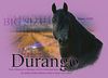 Filename=durango.jpg
Filesize=115KB
Dimensions=500x360
Date added=Sep 10, 2005 durango.jpg
