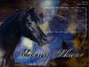 Filename=ebonyskies.jpg
Filesize=31KB
Dimensions=480x360
Date added=Dec 31, 2005 ebonyskies.jpg