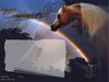 Filename=emp.jpg
Filesize=23KB
Dimensions=480x360
Date added=Dec 31, 2005 emp.jpg