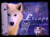 Filename=escape.jpg
Filesize=23KB
Dimensions=450x337
Date added=Dec 31, 2005 escape.jpg