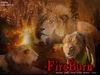 Filename=fireburn.jpg
Filesize=32KB
Dimensions=480x360
Date added=Dec 31, 2005 fireburn.jpg
