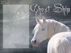 Filename=ghostship.jpg
Filesize=23KB
Dimensions=480x360
Date added=Dec 31, 2005 ghostship.jpg