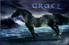 Filename=grael.jpg
Filesize=157KB
Dimensions=575x375
Date added=Jan 16, 2007 grael.jpg