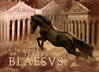 Filename=iuniusblaesus.jpg
Filesize=187KB
Dimensions=550x400
Date added=Oct 22, 2006 iuniusblaesus.jpg