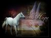 Filename=lasthope.jpg
Filesize=95KB
Dimensions=500x375
Date added=Sep 10, 2005 lasthope.jpg