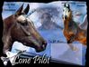 Filename=lonepilot.jpg
Filesize=26KB
Dimensions=450x337
Date added=Dec 31, 2005 lonepilot.jpg