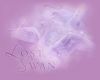 Filename=lostswan.jpg
Filesize=102KB
Dimensions=500x400
Date added=Jun 07, 2006 lostswan.jpg