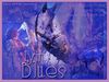 Filename=lyinblues.jpg
Filesize=93KB
Dimensions=500x375
Date added=Dec 30, 2005 lyinblues.jpg
