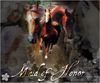 Filename=maidofhonor.jpg
Filesize=149KB
Dimensions=500x417
Date added=Dec 31, 2005 maidofhonor.jpg