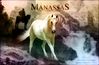 Filename=manassas.jpg
Filesize=167KB
Dimensions=550x362
Date added=Dec 31, 2005 manassas.jpg