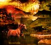 Filename=mandarin.jpg
Filesize=319KB
Dimensions=500x450
Date added=Dec 31, 2005 mandarin.jpg