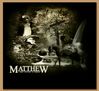 Filename=matthew.jpg
Filesize=209KB
Dimensions=600x550
Date added=Dec 31, 2005 matthew.jpg