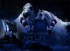 Filename=mylae.jpg
Filesize=153KB
Dimensions=475x350
Date added=Feb 03, 2006 mylae.jpg