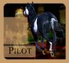 Filename=pilot.jpg
Filesize=313KB
Dimensions=600x550
Date added=Dec 31, 2005 pilot.jpg