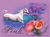 Filename=pink.jpg
Filesize=83KB
Dimensions=500x375
Date added=Sep 10, 2005 pink.jpg