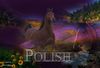 Filename=polish.jpg
Filesize=184KB
Dimensions=587x400
Date added=Dec 30, 2005 polish.jpg