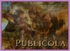 Filename=publicola.jpg
Filesize=192KB
Dimensions=475x345
Date added=Dec 31, 2005 publicola.jpg