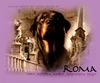 Filename=roma.jpg
Filesize=174KB
Dimensions=600x500
Date added=Dec 31, 2005 roma.jpg