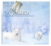 Filename=romeo.jpg
Filesize=176KB
Dimensions=500x460
Date added=Dec 30, 2005 romeo.jpg