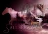 Filename=salubrious.jpg
Filesize=209KB
Dimensions=700x500
Date added=Dec 30, 2005 salubrious.jpg