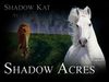Filename=shadowacres.jpg
Filesize=107KB
Dimensions=500x375
Date added=Dec 30, 2005 shadowacres.jpg