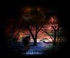 Filename=shadowfoot.jpg
Filesize=199KB
Dimensions=600x500
Date added=Dec 31, 2005 shadowfoot.jpg