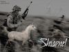 Filename=shrapnel.jpg
Filesize=26KB
Dimensions=480x360
Date added=Dec 31, 2005 shrapnel.jpg