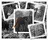 Filename=snapshot.jpg
Filesize=325KB
Dimensions=600x500
Date added=Dec 31, 2005 snapshot.jpg