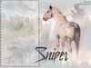 Filename=sniper.jpg
Filesize=24KB
Dimensions=480x360
Date added=Dec 31, 2005 sniper.jpg