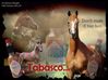 Filename=tabasco.jpg
Filesize=21KB
Dimensions=450x337
Date added=Dec 31, 2005 tabasco.jpg