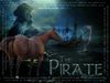 Filename=thepirate.jpg
Filesize=161KB
Dimensions=500x375
Date added=Dec 30, 2005 thepirate.jpg