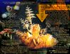 Filename=thisisyourancestor.jpg
Filesize=562KB
Dimensions=700x542
Date added=Dec 31, 2005 thisisyourancestor.jpg