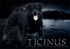 Filename=ticinus.jpg
Filesize=108KB
Dimensions=500x350
Date added=Mar 11, 2006 ticinus.jpg