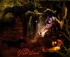 Filename=wildsins.jpg
Filesize=245KB
Dimensions=550x450
Date added=Dec 31, 2005 wildsins.jpg