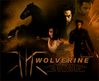 Filename=wolverine.jpg
Filesize=248KB
Dimensions=550x450
Date added=Aug 12, 2006 wolverine.jpg